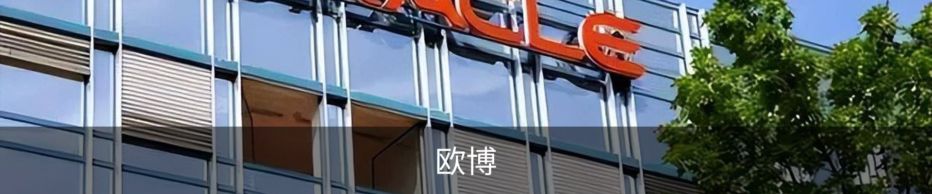 欧博
